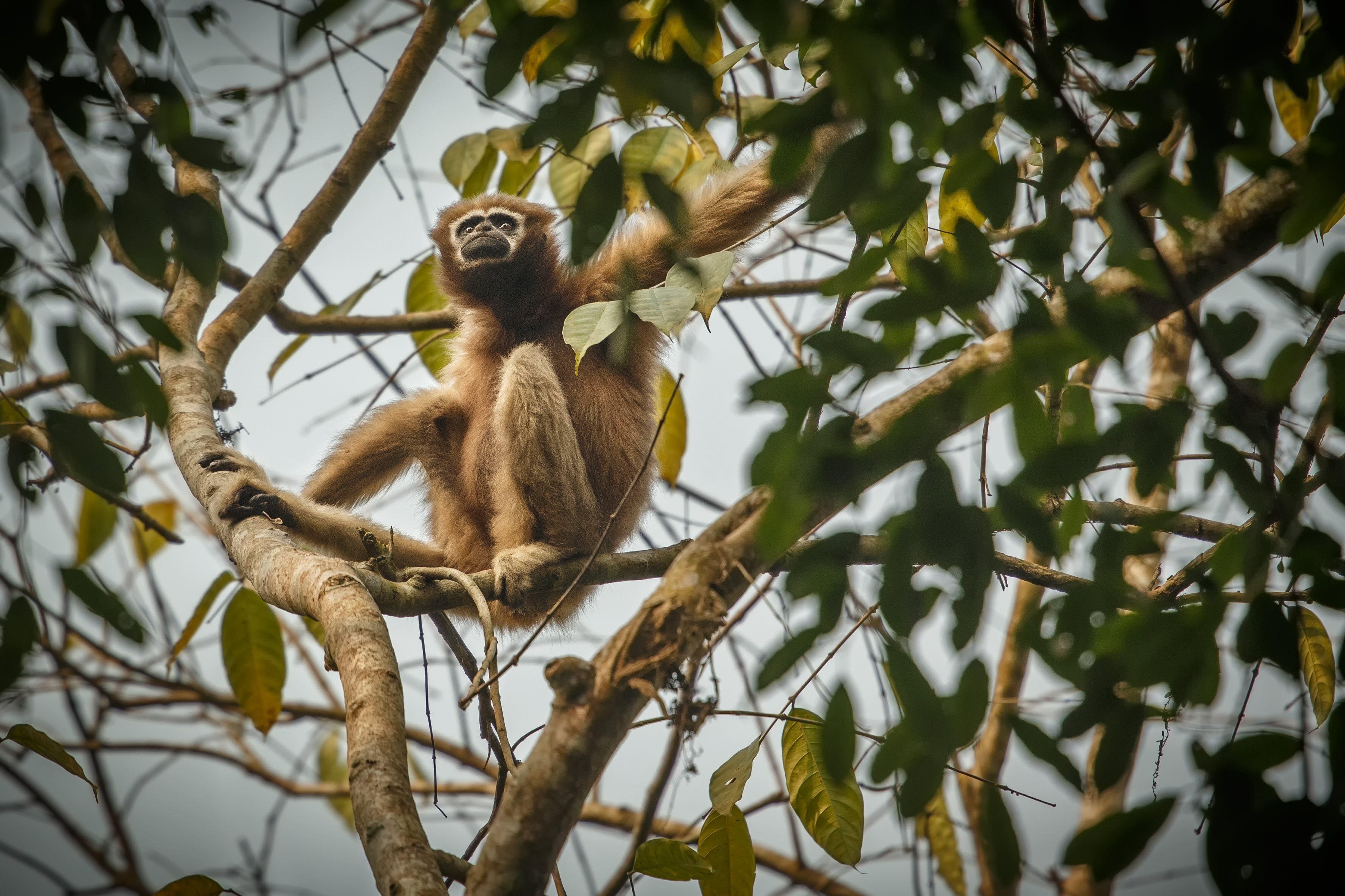Sitting and relaxing in Rwanda