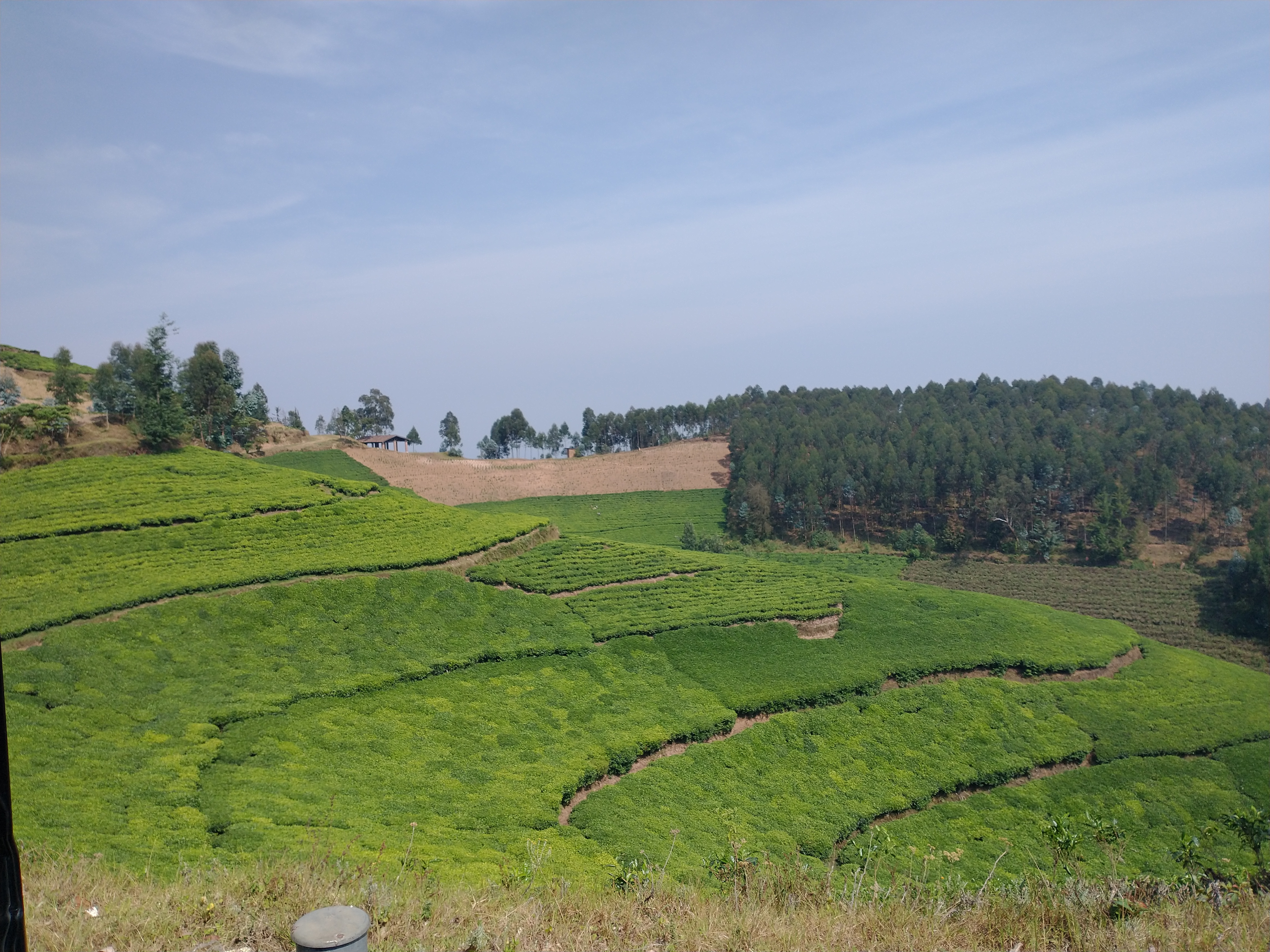 We Out in Rwanda
